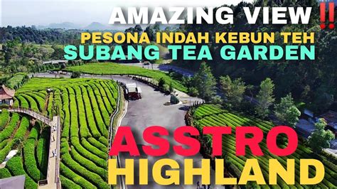 Indahnya Kebun Teh Ciater Amazing Viewexplore Astro Highland Kebun