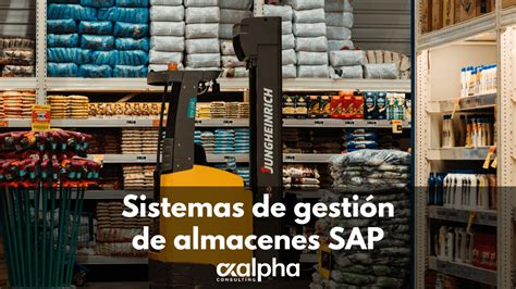 M Dulos Sap Business One Archivos Axalpha Consulting