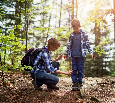 Tick Bites And Lyme Disease Hamilton Health Sciences