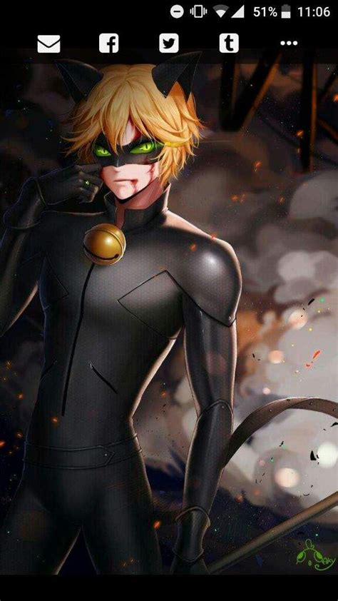 Sexy chat noir Miraculous Ladybug Español Amino