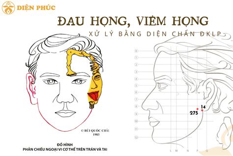 Trị đau Họng Viêm Họng Bằng Diện Chẩn Đklp