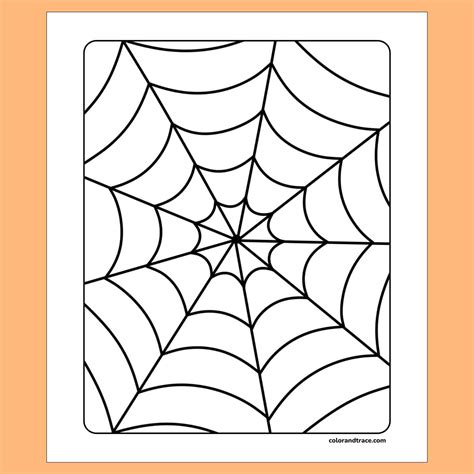 Free Printable Spider Web Coloring Page PDF - Color and Trace