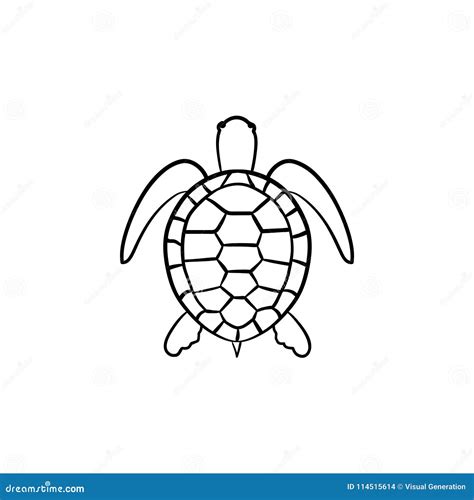 Turtle Hand Drawn Sketch Icon Stock Vector Illustration Of Ocean