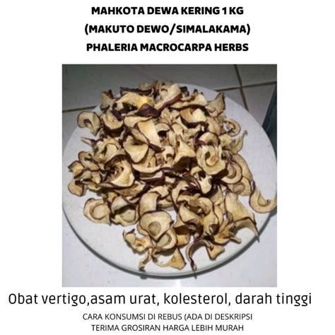 Jual Kg Mahkota Dewa Kering Obat Teh Mahkota Dewa Herbal Asli Buah