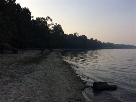 Chuka Beach Pilibhit 2020 What To Know Before You Go With Photos Tripadvisor