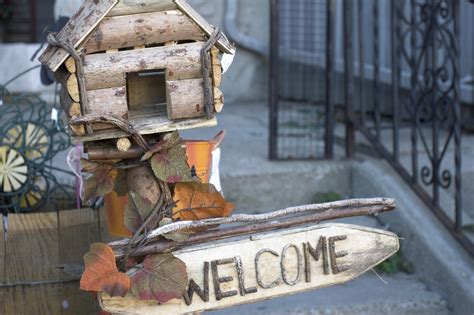 Birdhouse Free Photo Download Freeimages