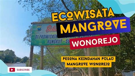 Destinasi Ecowisata Tersembunyi Pesona Hutan Mangrove Wonorejo