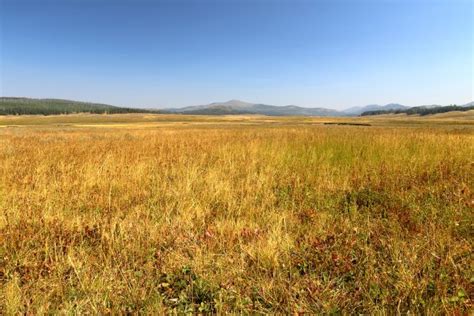 美国西部怀俄明多云自然地形背景山艾树留白草原水平画幅摄影素材汇图网