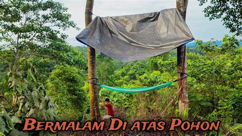 Solo Camping Di Atas Pohon Tinggi YouTube