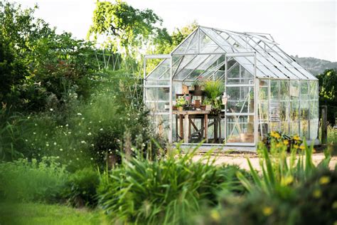 Meilleure Serre De Jardin Comment La Choisir