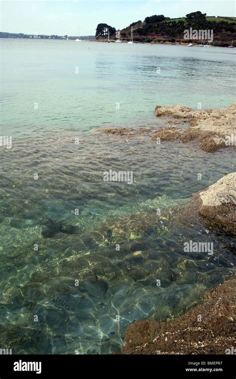 Clear Water At Mouth Of St Just In Roseland Creek Where It Joins The