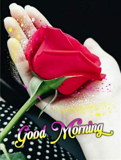 Good Morning Hand Love | Rose Love Images - Good Morning Images, Quotes ...