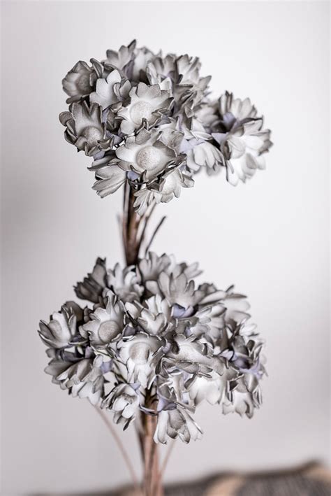 Myla Grey Flower Coyles Country Store
