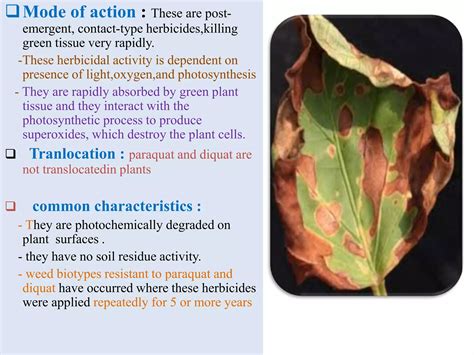 Classification Of Herbicidespptx