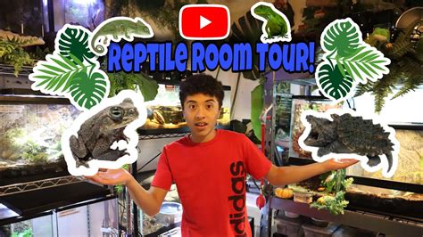 Complete Reptile Room Tour Over 30 Animals Youtube