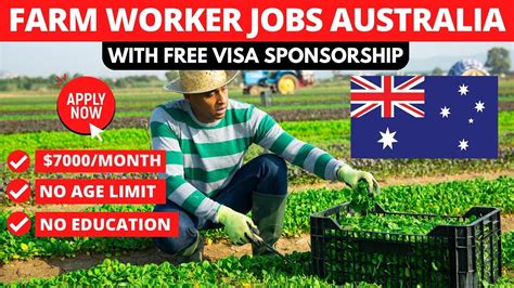 Australia Farm Work Jobs Free Visa Sponsorship Available In Youtube