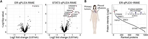 Il6 Stat3 Signaling Hijacks Estrogen Receptor α Enhancers To Drive