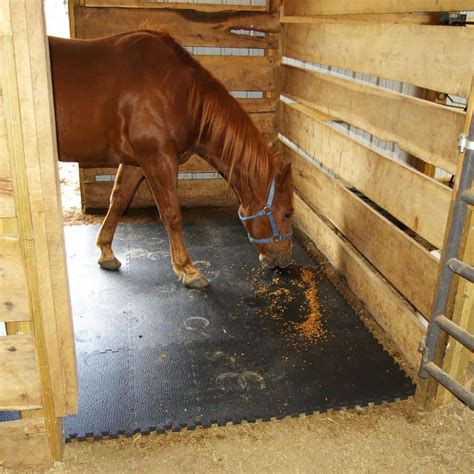 Horse Stall Mats Dubai | Buy Best Quality Rubbers Mats UAE