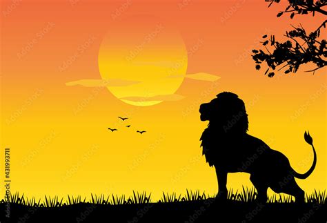 lion standing Against a Sunset illustration, African nature with a wild ...