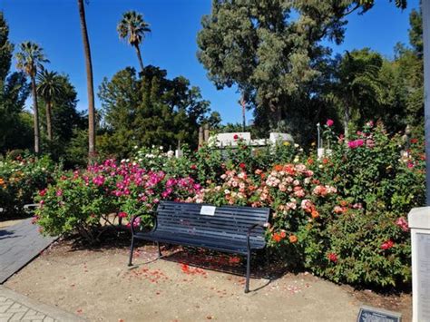 International World Peace Rose Gardens 330 Photos And 26 Reviews 1317