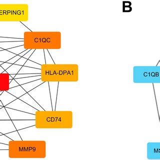 PPI Network Analysis And Hub Genes Identification A A Key Cluster