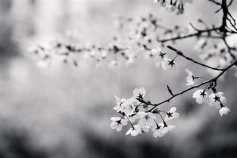 white  black moon  black skies  body  water photography