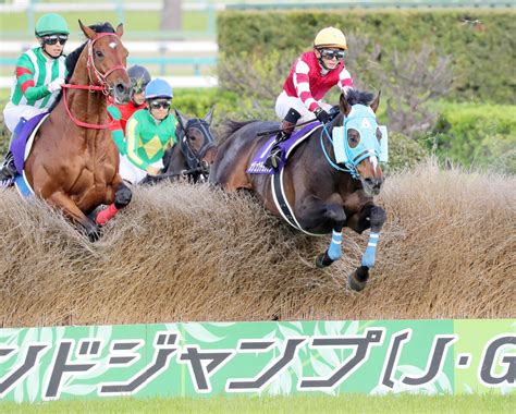 【中山グランドj】絶対王者オジュウチョウサンがjra所属馬初の11歳でjg1制覇 同レース6勝はjra最多 Umatoku 馬トク