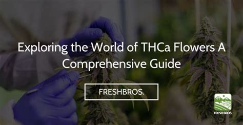 Exploring The World Of Thca Flowers A Comprehensive Guide