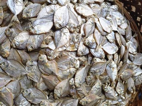 SAPSAP DRIED FISH TUYO 1 2 KILO Lazada PH