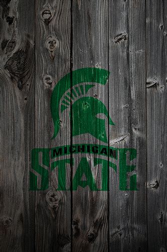 Michigan State Logo Wallpaper - WallpaperSafari