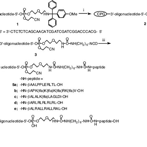 Scheme 2 Synthesis Of DNA Peptide Conjugates By Solid Phase Fragment