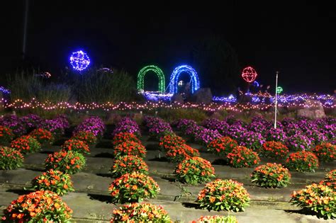 越後丘陵公園 サマーナイトプレゼンツ 越後の写真好き