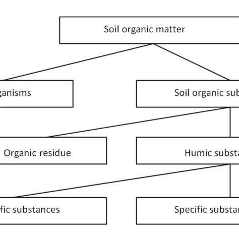 Models Of The Humic Substances Structure Schulten Et Al 1991 Gonet