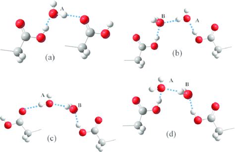 Four Examples For The Hydrogen Bonding Patterns Between The Adsorbed