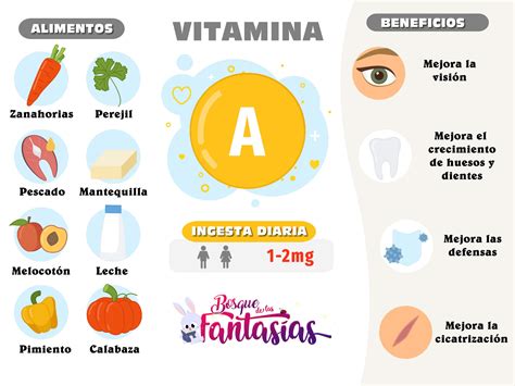 Las Vitaminas Infografías Hot Sex Picture