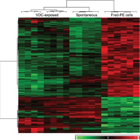 Hierarchical Cluster Analysis HCA Comparing Global Gene Expression