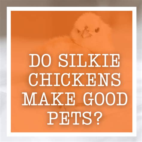 Are Chicken Eggs With Blood Spots Safe To Eat?