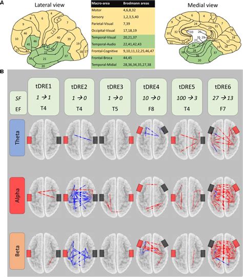 Frontiers Brain Functional Connectivity Changes After Transcranial