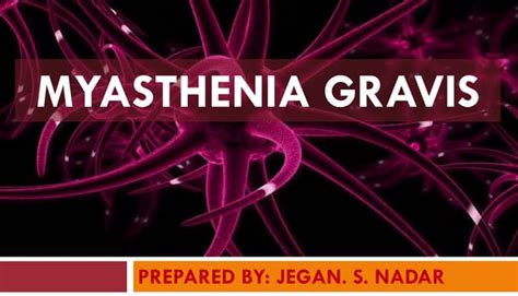 Pathophysiology Of Myasthenia Gravis Ppt