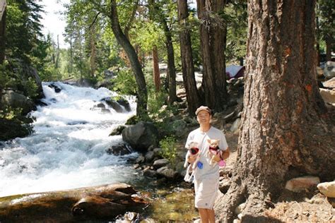 Adventures In The National Park National Monument National Forest And State Park Keough S