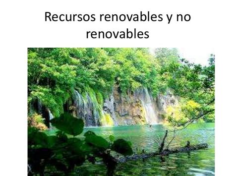 Recursos Renovables Y No Renovables Ejemplos Para Niños Opciones De Ejemplo