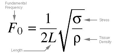 Fundamental Frequency Equation