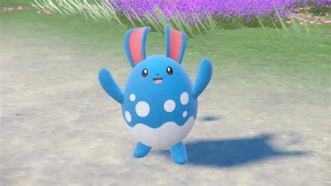 How To Get Your Azumarill To Learn Belly Drum In Pok Mon Scarlet And Violet