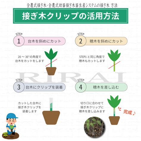 放映 幻滅する 十 接ぎ木 テープ 外す