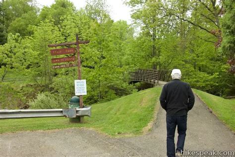 Vernal Pool And Oak Trails Binghamton University Ny