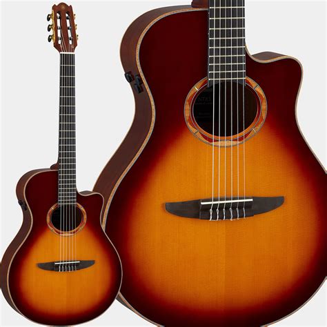 YAMAHA NTX3 BROWN SUNBURST エレガットギター クラシックギター ヤマハ NXシリーズ 島村楽器オンラインストア