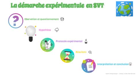 Les étapes de la démarche expérimentale