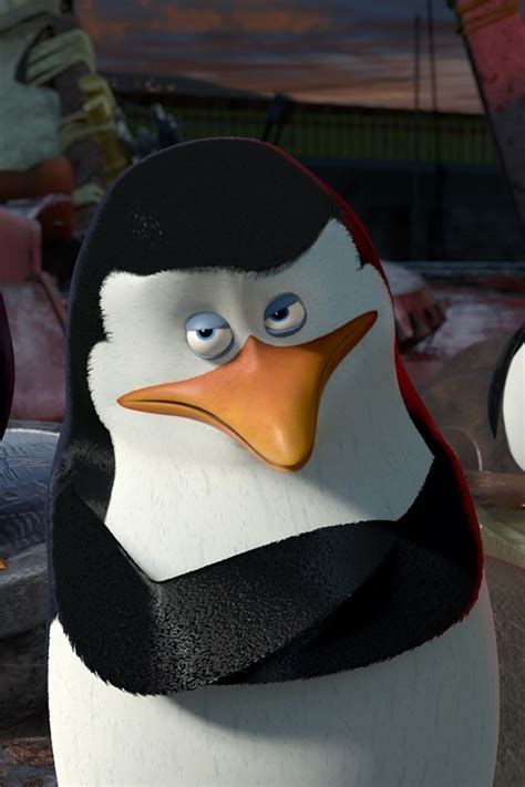 Skipper Penguins Penguins Of Madagascar Dreamworks Animation