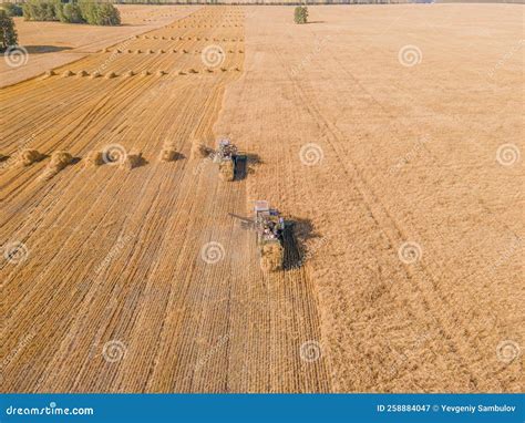 Harvest Wheat Grain And Crop Aerial View Harvesting Wheat Oats Barley