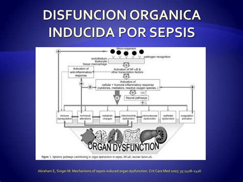 Ppt Sepsis Severa Y Shock Septico En Gestacion Powerpoint